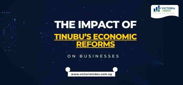The Impact of Tinubu's Economic Reforms on Businesses