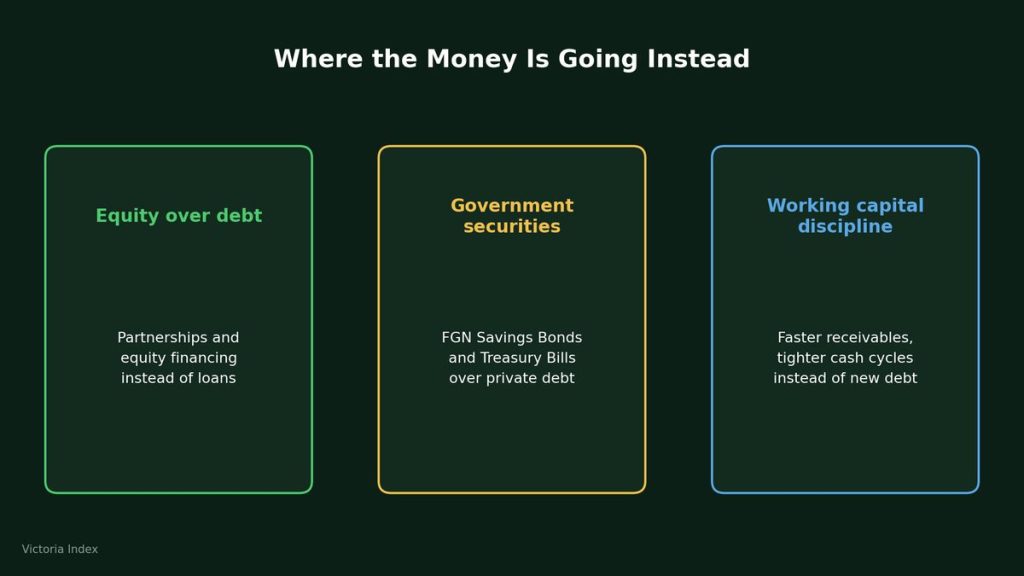 Three-panel graphic showing where Nigerian borrowers are redirecting capital: equity over debt, government securities over private borrowing, and working capital discipline over expansion debt